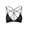 Wholesale Barbra Bra Knitwear